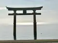 白鬚神社の写真_468563