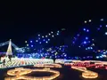 広島市植物公園の写真_471156