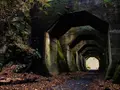 八角トンネルの写真_474317