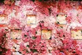 奈良金魚ミュージアムの写真_475579