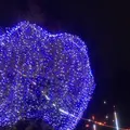 東京ミッドタウンの写真_475634