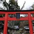 白浜神社の写真_475723