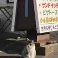 鍋田浜の写真_475729