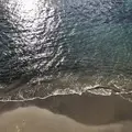 鍋田浜の写真_475735