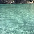 鍋田浜の写真_475736