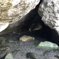 鍋田浜の写真_475740