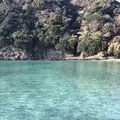 鍋田浜の写真_475741