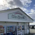 あいあい岬の写真_475749