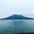 桜島の写真_476033