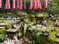 佐助稲荷神社の写真_477622
