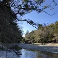 伊勢神宮の写真_478281