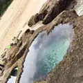 ハートロックの写真_482269