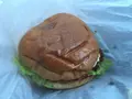 ダイコクバーガーの写真_484488