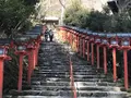 貴船神社の写真_485332