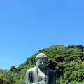 鎌倉大仏（高徳院）の写真_485355