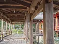 大覚寺の写真_486463