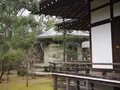 大覚寺の写真_486465
