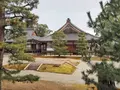 大覚寺の写真_486466