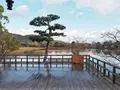大覚寺の写真_486467