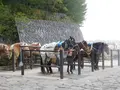 富士山５ごうめの写真_486792