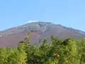 富士山５ごうめの写真_486793