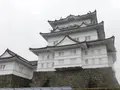 小田原城の写真_486804