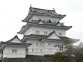 小田原城の写真_486806