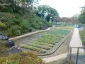小田原城の写真_486809