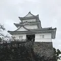 小田原城の写真_486812