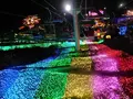さがみ湖イルミリオン（相模湖燈祭）の写真_486824