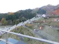 宮ヶ瀬湖畔園地の写真_486832
