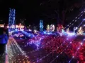 宮ヶ瀬湖畔園地の写真_486835
