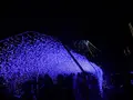 江の島シーキャンドルの写真_486846