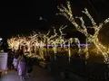 江の島シーキャンドルの写真_486847