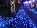 江の島シーキャンドルの写真_486851