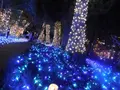 江の島シーキャンドルの写真_486852