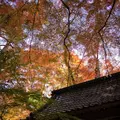 中尊寺の写真_486889