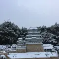 東武ワールドスクウェアの写真_487261