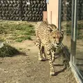 広島市安佐動物公園の写真_487542