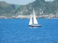 城ケ島の写真_488008