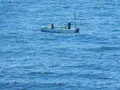城ケ島の写真_488009