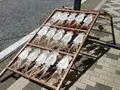 城ケ島の写真_488011