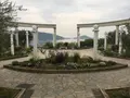 道の駅 小豆島オリーブ公園の写真_488319