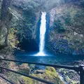 浄蓮の滝の写真_489317
