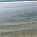 吉佐美大浜海水浴場の写真_489415