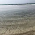 吉佐美大浜海水浴場の写真_489418