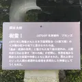 川崎市岡本太郎美術館の写真_489423