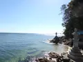 竹島の写真_489953