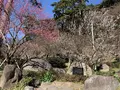 熱海梅園の写真_490410