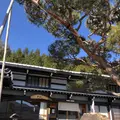 手打ちそば 中仁の写真_490693